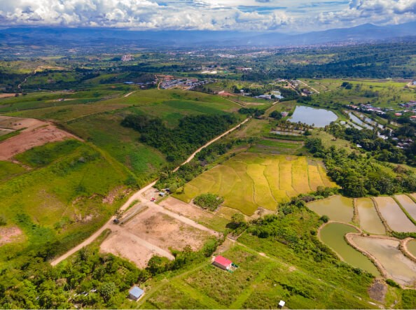 Brisas del Horizonte