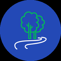 iconos 4